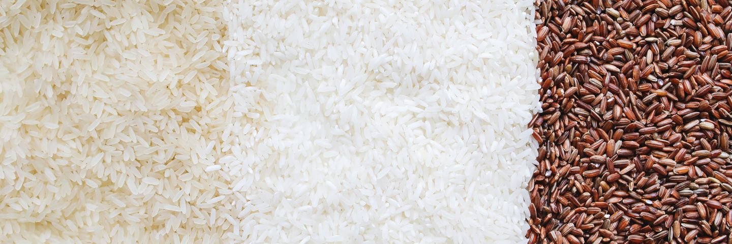 Bowl of cooked white rice